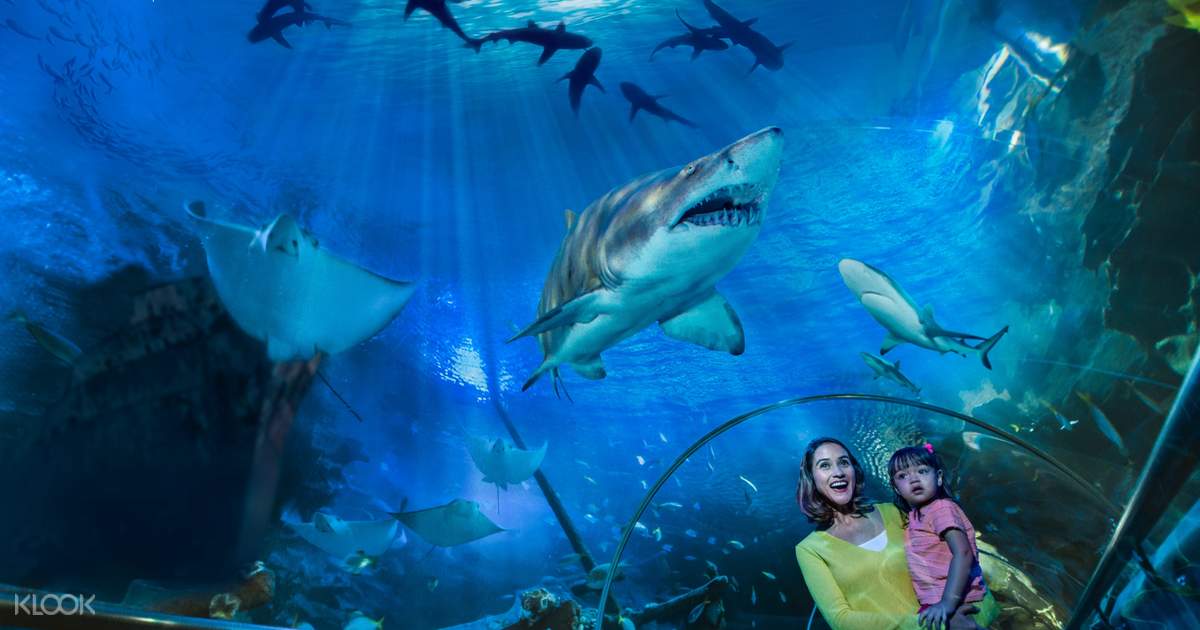 吉隆坡 Aquaria KLCC 水族馆门票 Klook客路 中国